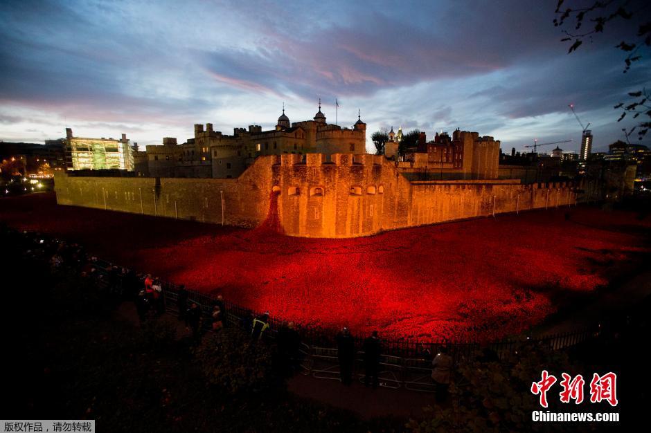 當(dāng)?shù)貢r間2014年11月10日，英國倫敦，倫敦塔周邊“種植”了888246朵陶瓷材質(zhì)的罌粟花，以此紀(jì)