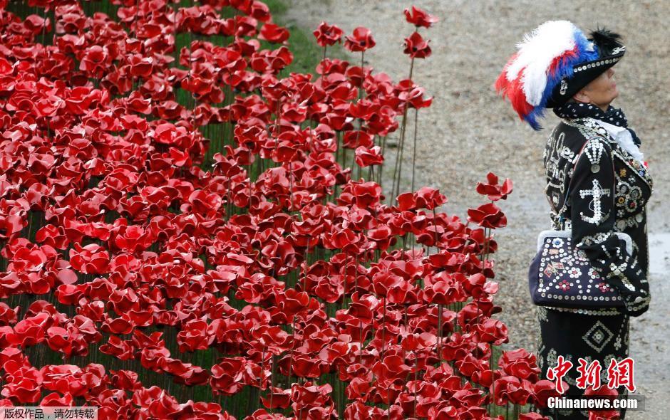 當(dāng)?shù)貢r間2014年11月10日，英國倫敦，倫敦塔周邊“種植”了888246朵陶瓷材質(zhì)的罌粟花，以此紀(jì)