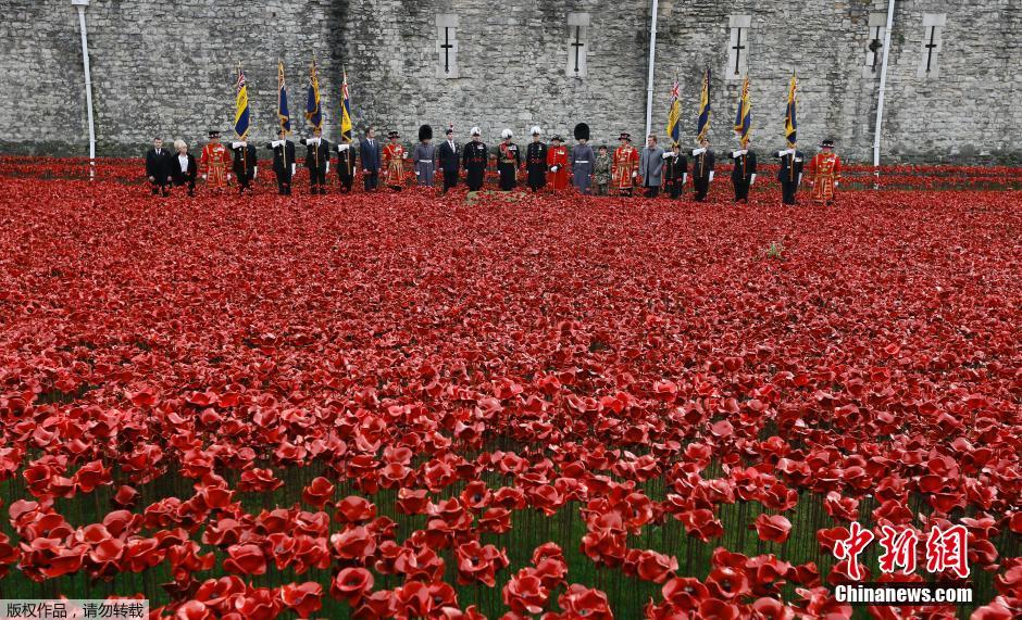 當(dāng)?shù)貢r間2014年11月10日，英國倫敦，倫敦塔周邊“種植”了888246朵陶瓷材質(zhì)的罌粟花，以此紀(jì)