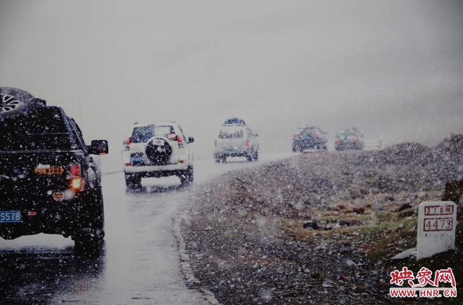 賽車的世界、更是男人的世界。圖為部分參展攝影作品。