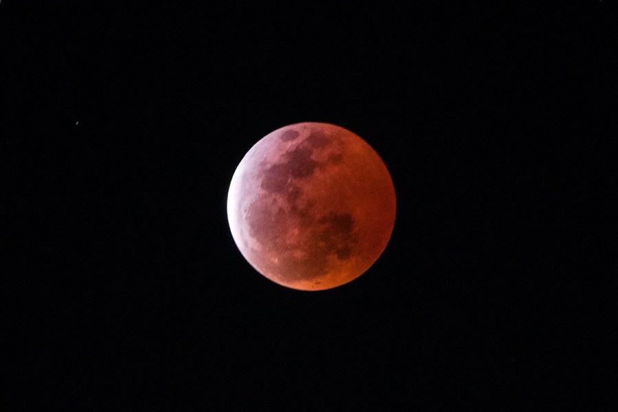 4月4日，福州上空出現(xiàn)紅月亮。楊婀娜/CFP