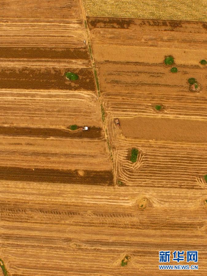 這是5月28日在河南省南陽市唐河縣甘河灣村航拍的麥收現(xiàn)場。