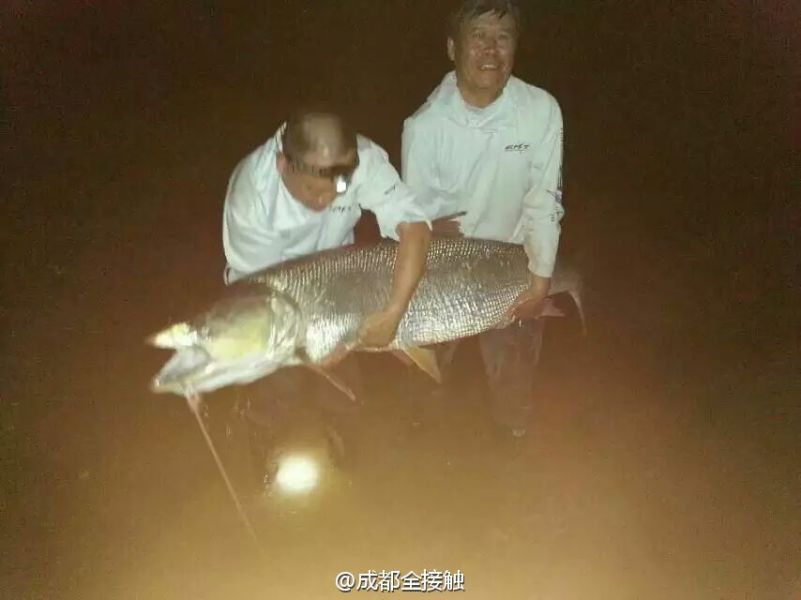 圖為大魚需要兩個人抱起。