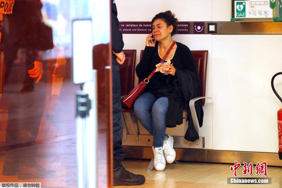 載66人埃航失聯(lián)客機(jī)墜毀 同線航班當(dāng)晚照常起飛