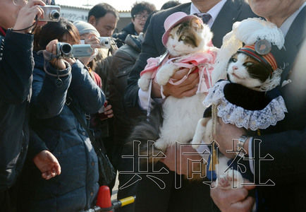 圖為粉絲們簇?fù)碇鞍⒂瘛闭鹃L（右）。左側(cè)為其部下“二玉”。