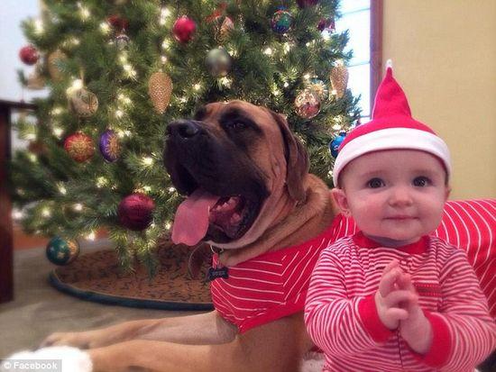 圖為美國2歲大的寵物犬與主人9個月大的女嬰。圖片來源：臉譜網(wǎng)站（Facebook）。