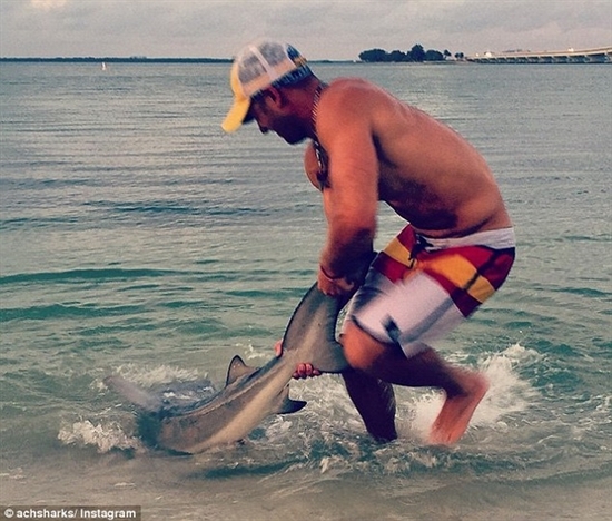 美國(guó)男子空手將360斤活鯊魚拉上岸 曾拉過(guò)88條