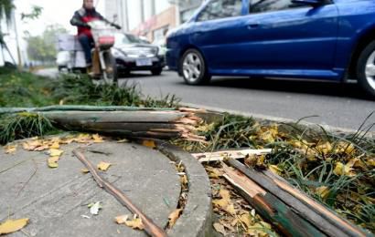 事發(fā)現(xiàn)場，嫌疑車輛撞壞的木樁。