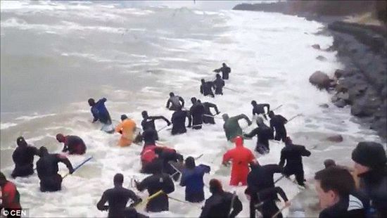 一場(chǎng)暴雨后，俄羅斯加里寧格勒Pionersky鎮(zhèn)，數(shù)十人潛入海水中搜尋琥珀。