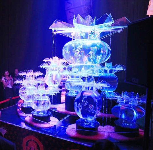 金魚(yú)在燈光下的水缸中翩翩游弋吸引游人參觀(guān)