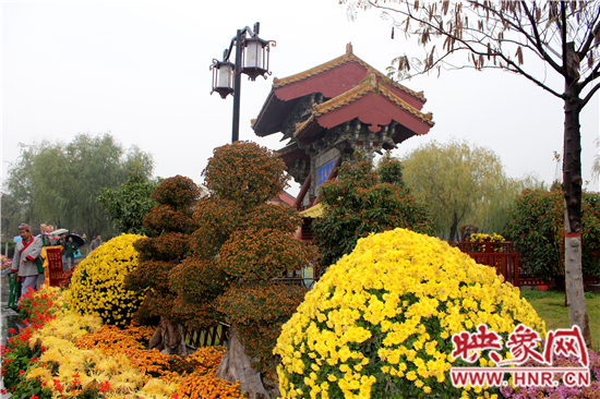 天好、花美 中國開封第32屆菊花文化節(jié)延長一周
