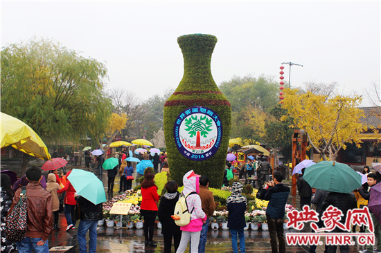 天好、花美 中國開封第32屆菊花文化節(jié)延長一周