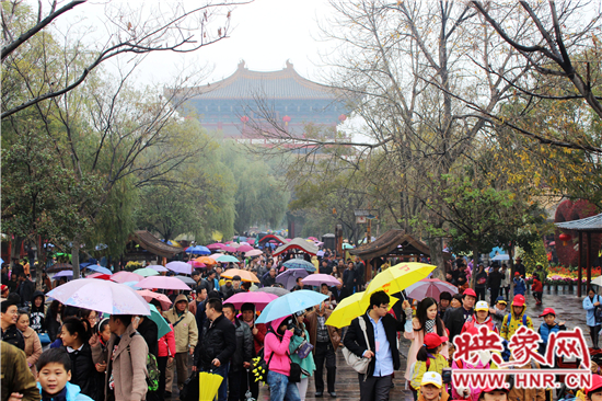 天好、花美 中國開封第32屆菊花文化節(jié)延長一周