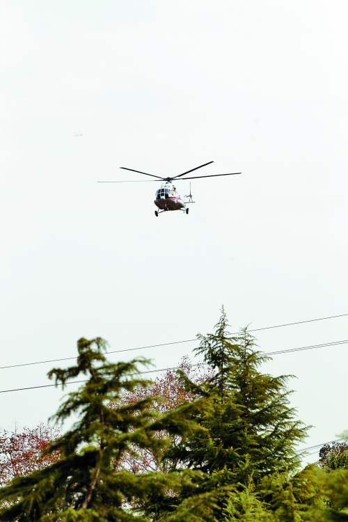 輕拋一點(diǎn)入云去，利眼“鐵鷹”掠地來(lái)