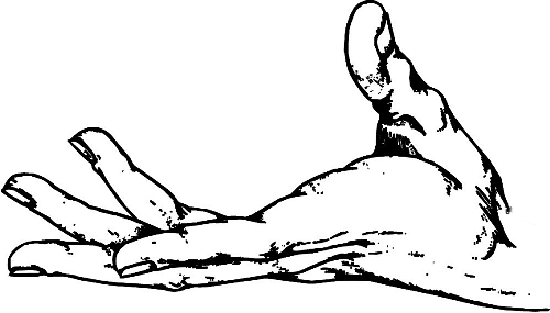 　時(shí)間：拿到通知書(shū)，未報(bào)到就可申請(qǐng)