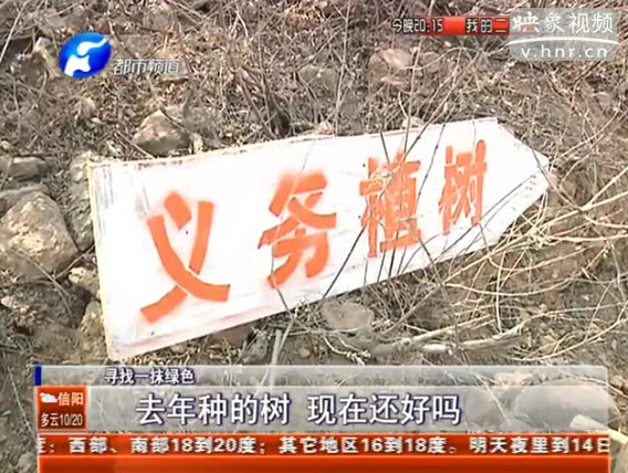 去年種的樹 現(xiàn)在還好嗎？