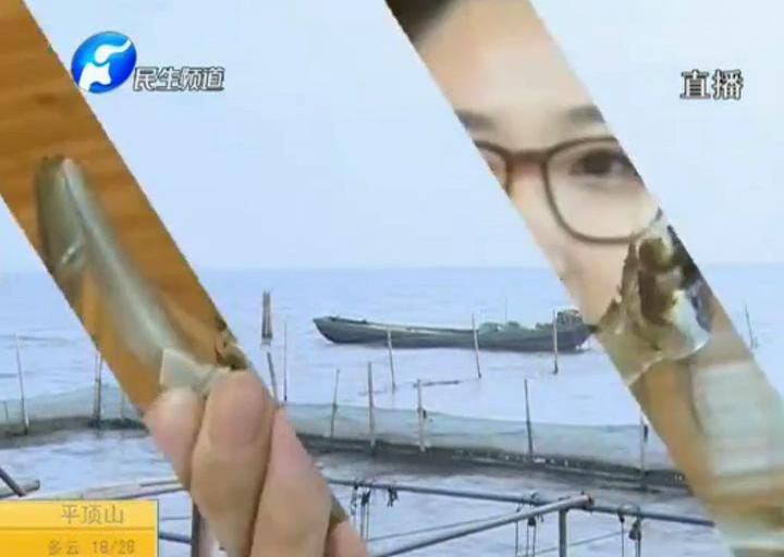 陽澄湖大閘蟹？假的！