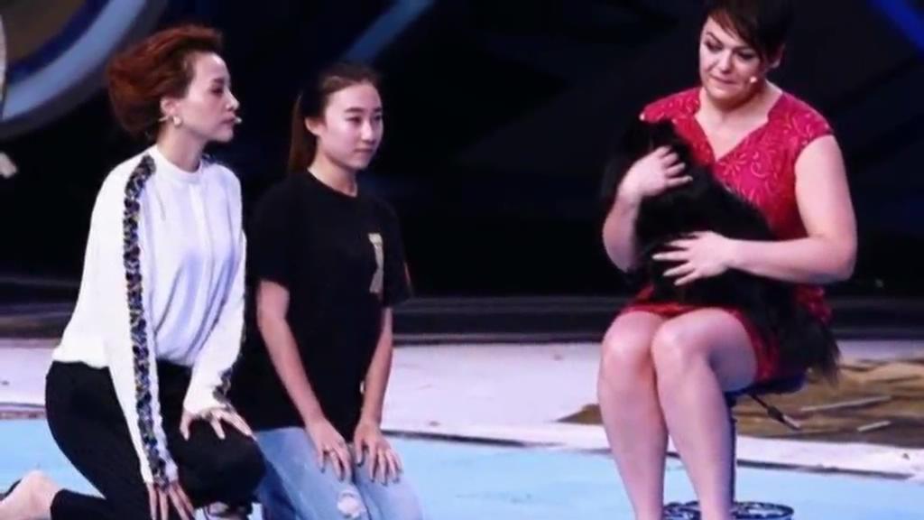 又當(dāng)托？ 董卿節(jié)目現(xiàn)場(chǎng)當(dāng)眾對(duì)狗下跪稱被催眠