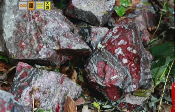 驚！神農(nóng)架無人區(qū)現(xiàn)神秘玉石