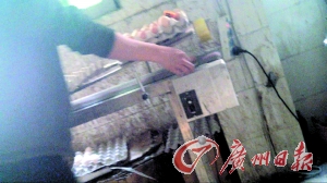 工作人員正在為“土雞蛋”噴日期碼。